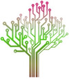technology solutions